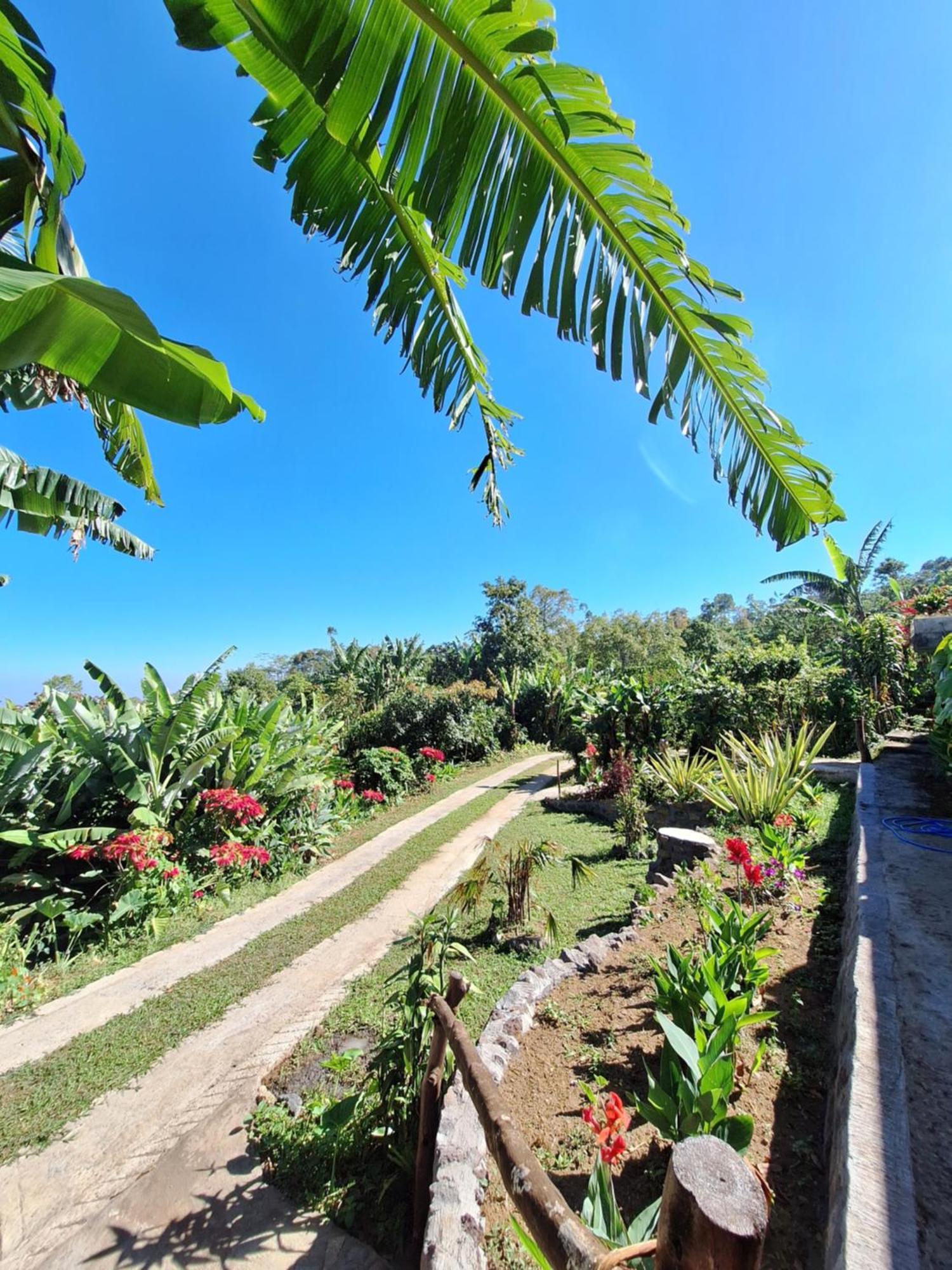 Manigelang Villa Munduk Buitenkant foto