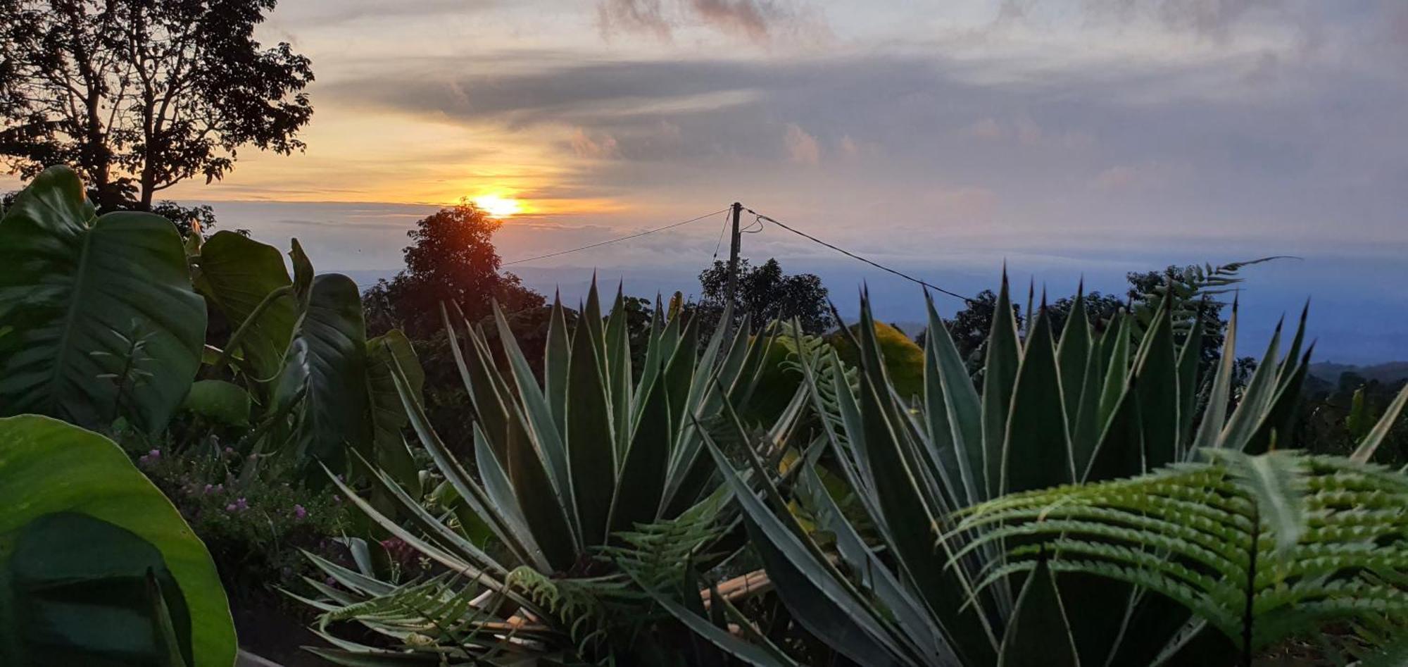 Manigelang Villa Munduk Buitenkant foto